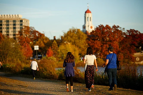 Harvard cierra oficinas de diversidad tras presiones de Trump