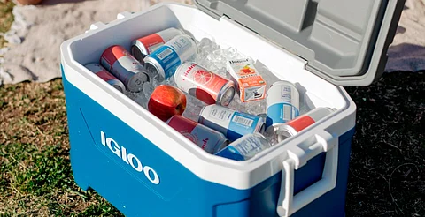 ¡Cuidado! Asa de nevera Igloo podría provocarte una lesión; te la cambiarán gratis