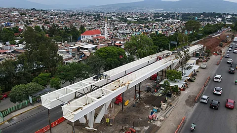 Gobierno de Michoacán compensa obras viales de Morelia con casi 7 mil árboles