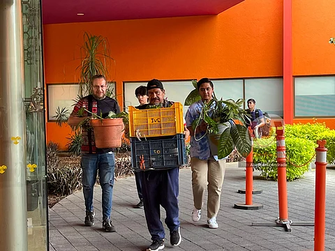 Realizan en Morelia Trueque de Plantas con Causa a beneficio del Teletón
