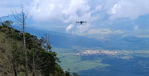 Michoacán siembra con drones 24 mil semillas de árboles en Paracho y Uruapan