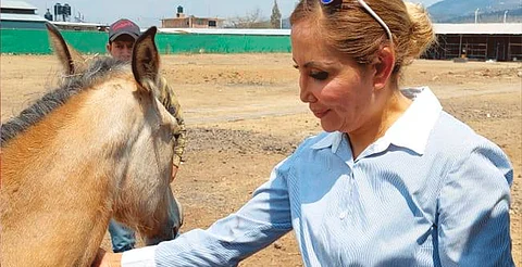 Crear la Fiscalía Especializada o abordar el maltrato animal como es, la exigencia del IMPA a nuevo fiscal