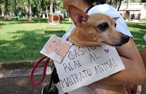 Marchan por los derechos de los perritos en Morelia