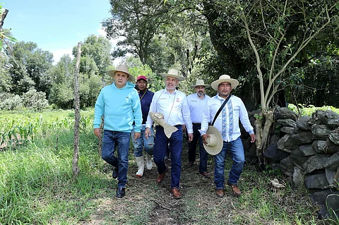 Supervisa Bedolla avances en la recuperación del lago de Pátzcuaro