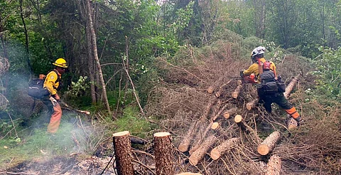 Conafor mantiene apoyo en Canadá: brigadas mexicanas siguen combatiendo incendios