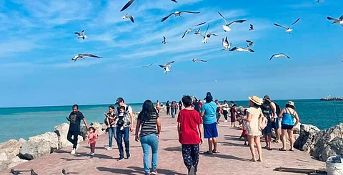 Alerta Profeco por agencias de viaje fantasma en vacaciones de verano