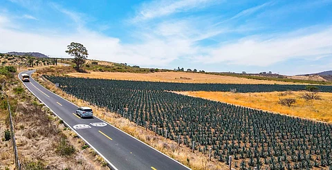 Rehabilitación carretera en Jiménez beneficia a 3 mil habitantes: SCOP
