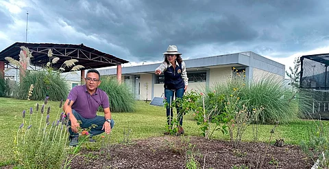 UMSNH pone en marcha proyecto de "Jardín para polinizadores", busca abonar en el cuidado del medio ambiente