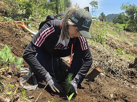 Jóvenes plantan más de 50 mil árboles en reforestación simultánea en 16 municipios