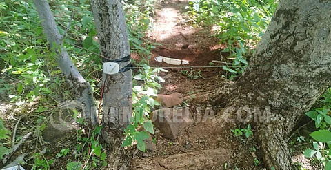 Hierba, minas y campamento abandonado, tres hallazgos en el corazón "caliente" de Michoacán