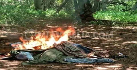 Desmantelan campamento criminal en Apatzingán