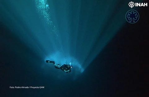 Hallan dientes de megalodón, del tamaño de una mano, en cenote de Quintana Roo; los exhiben en museo