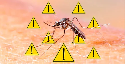 El virus no es contagioso entre personas, pero se transmite por mosquitos infectados