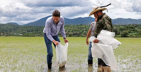 Encabeza Alfonso Martínez siembra de 100 mil ejemplares de tilapia en zona rural