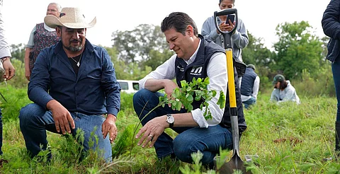 Morelia planta futuro: Alfonso Martínez encabeza jornada de reforestación en Chiquimitío