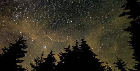 Así podrás ver la lluvia de estrellas más esperada del año