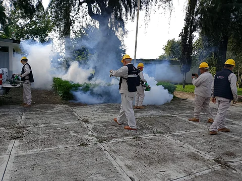 SSM se suma a jornada nacional contra el dengue