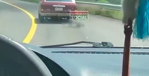 Prensa Animalista de Michoacán exige justicia por perrito que fue arrastrado