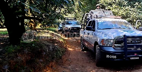 Localizan cuerpo baleado en el municipio de Tingambato