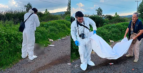 Caso de maltrato animal en Quiroga-Morelia es investigado por la FGE, se practicará necropsia