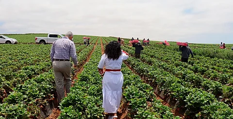 GOBIERNO DE OAXACA