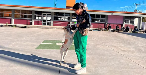 Se busca abrir oportunidades laborales en áreas como grooming, atención al cliente en veterinarias, clínicas estéticas caninas y emprendimientos propios vinculados con el bienestar animal