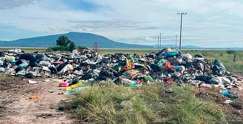 Detectan basurero a la orilla del Lago de Cuitzeo; interviene Profepa