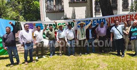Logra CSIM meta de plantar 1 millón de árboles este año