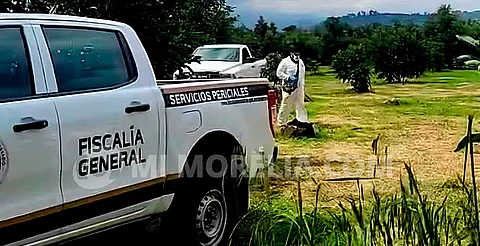 Michoacán: hallan dos cuerpos semienterrados en huerta de aguacates