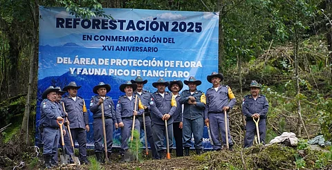 Pico de Tancítaro cumple 16 años como área protegida