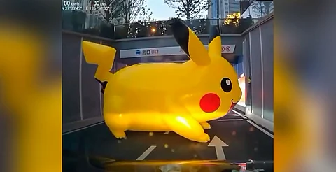 El video se volvió viral y desató una ola de memes y comentarios