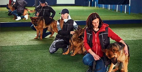 Más de 33,000 entrenadores de animales en México: el Congreso Animal de Morelia ofrece formación vital