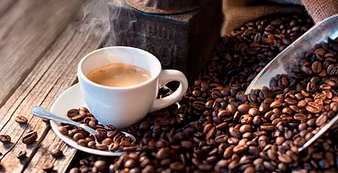 El café será producido y procesado en la Montaña de Guerrero, una de las regiones más pobres del país