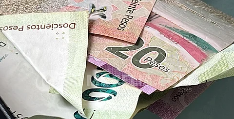 Mejoría en los ingresos de los hogares, un factor de la reducción de la pobreza: economista