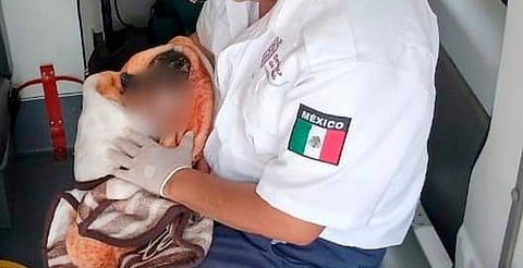 Paramédicos atienden parto en domicilio de Morelia; madre y bebé estables