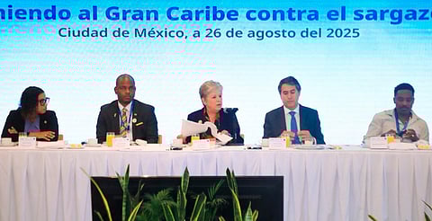 México y la Unión Europea preparan plan contra el sargazo en el Gran Caribe