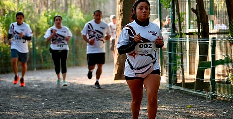 Zoológico de Morelia invita a correr bajo las estrellas por el lobo mexicano
