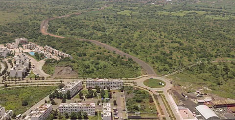 Conexión vial San Nicolás Obispo-Villas del Pedregal potenciará desarrollo: Gladyz Butanda