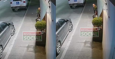 Captan a hombre llevándose planta de barbería en Morelia; dueño pide que la devuelvan