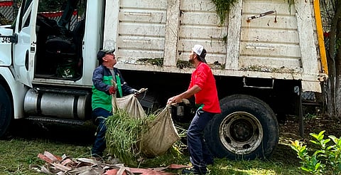 Secretaría de Servicios Públicos encabeza jornada de limpieza en colonias Juana Pavón y Fuentes de Morelia
