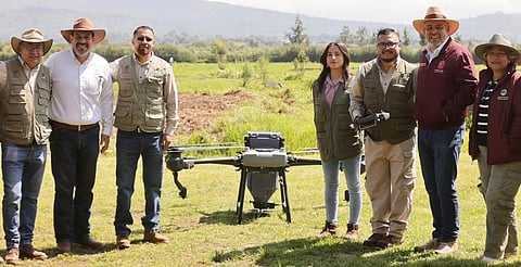 Reforestación con drones supera meta de 250 mil semillas sembradas: Bedolla