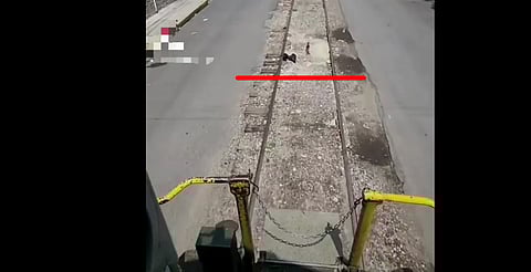 VIDEO: operador detiene tren para no atropellar perrito