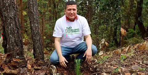 Invita Vicente Gómez a participar en jornada de reforestación