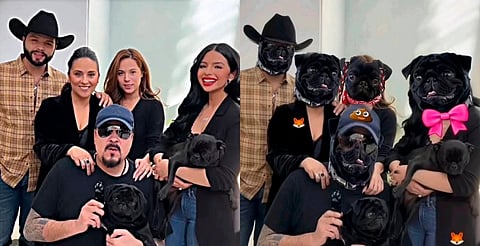 Perro pug de los Aguilar "desata" pelea con Emiliano y los tacha de hipócritas