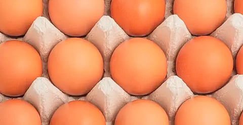 Los huevos contaminados fueron distribuidos entre junio y julio en California y Nevada