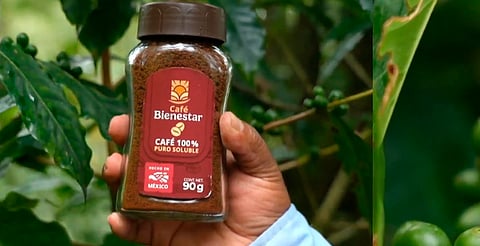 Café del Bienestar se venderá en Michoacán desde 35 pesos