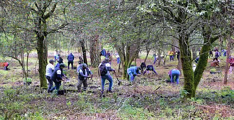 Tzitzio será sede del cierre de reforestación estatal 2025