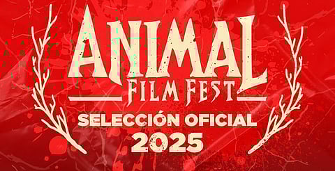 Tres expertas calificarán los cortos en ANIMAL Film Fest en Morelia