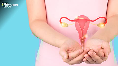 Estos factores aumentan el riesgo de cáncer cervicouterino