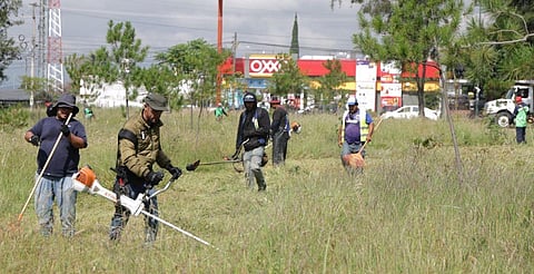 Arboledas brilla tras jornada de limpieza con apoyo ciudadano